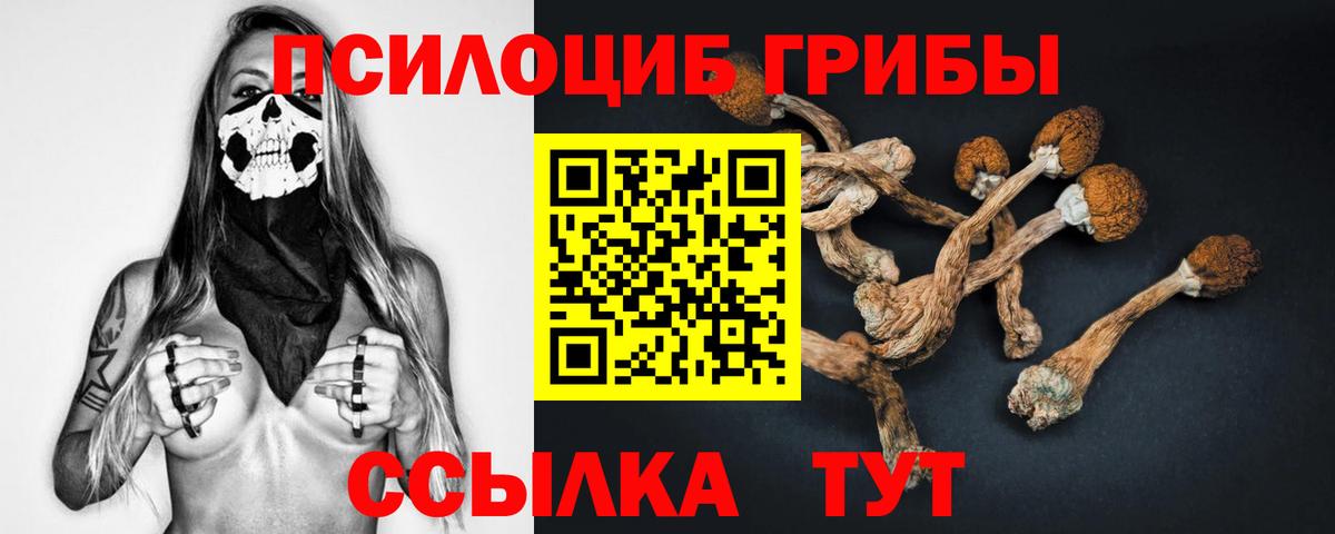Аксай  Псилоцибиновые грибы MAGIC MUSHROOMS  где можно купить наркотик  Вход с VPN 